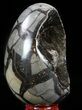 Septarian Dragon Egg Geode - Black Crystals #57340-1